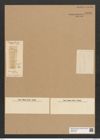 Grammatophora pusilla Grev. (de-Toni-Nr.: Genus 93, Species 3047) Zeichnungen Sammlung Grunow Nr. 6183 (NHMW-BOT-W0374754)